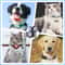 AirTag Pet Collar Silicone Protective Case Waterproof AirTag Pet Tracker Holder 0