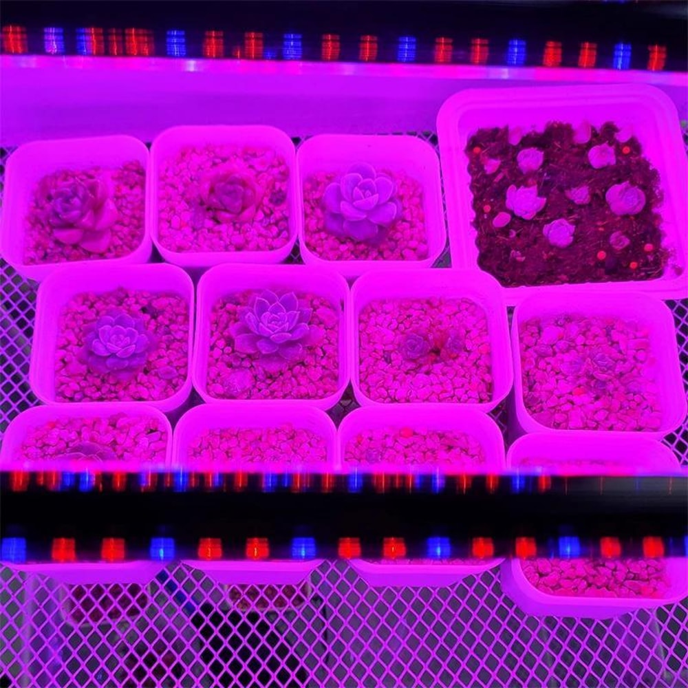Full Spectrum 2 Head Clip On Plant Grow Light with Remote Control