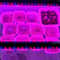 Full Spectrum 2 Head Clip On Plant Grow Light with Remote Control