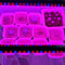 Full Spectrum 2 Head Clip On Plant Grow Light with Remote Control