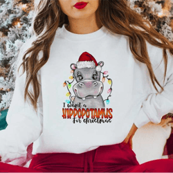 i want hippotamus for christmas sweater,hippotamus christmas lights shirt,merry christmas shirt,2023 happy new year,chri