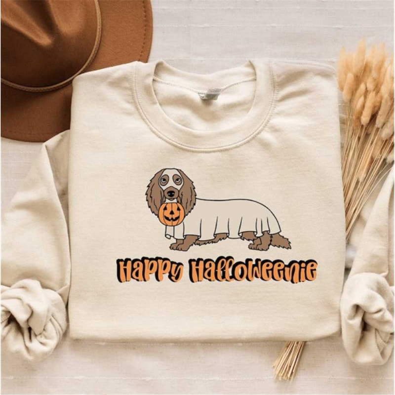 MR25102023164146dachshundhalloweensweatshirtdachshundmomsweatshirtimage1jpg