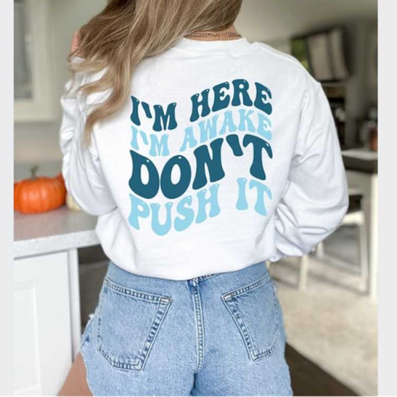 MR2510202317231imhereimawakedontpushithoodiehoodieimage1jpg