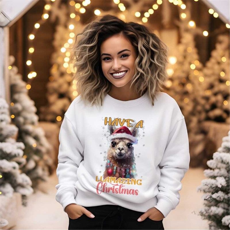 MR26102023173711haveallamazingchristmassweatermerrychristmashoodieimage1jpg