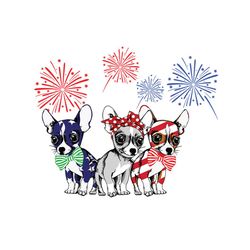 chihuahua fireworks svg, independence svg, 4th of july svg, chihuahua svg, independence dog svg, july 4th chihuahua, dog
