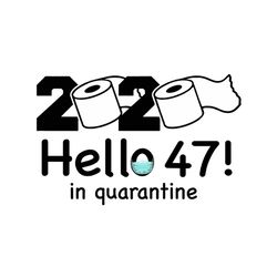 2020 hello 47 in quarantine svg, birthday svg, quarantine birthday svg, hello 47 svg, 47 birthday svg, birthday gifts, b