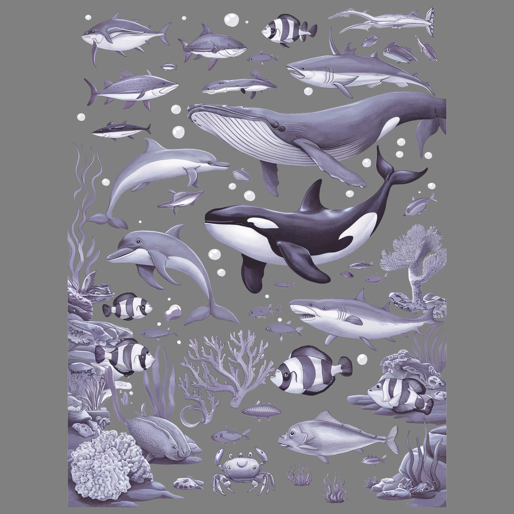 Ocean-Nature-Coral-Whale-Orca-Turtle-Dolphin-Retro-PNG-3005242028.png