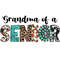 Grandma-Of-a-Senor-Western-PNG-Download-Digital-Download-Files-P0305241049.png