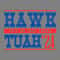 Hawk-Tuah-24-Spit-On-That-Thang-Funny-Election-SVG-2206241026.png