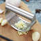 Garlic Chopper