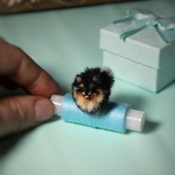 Pomeranian Miniature Realistic Spitz dog Spitz pet Dollhouse Collection 1 inch OOAK Pom Pom