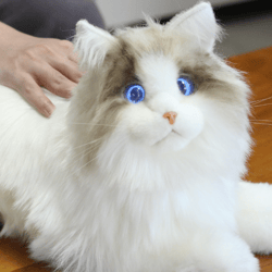 MetaCat(Ragdoll)-Lifelike Companion Robot Pet, Emotional Support to the kids and the elderly, Interactive AI-powered