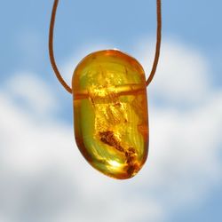 Baltic amber/ japanese silk cord choker necklace, gift for women
