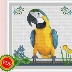 Cross Stitch Pattern Parrot Gift PDF Download