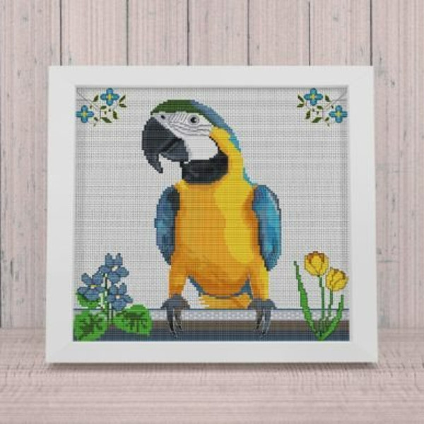 Ara-Macaw-Parrot-Macaw-Parrot-Graphics-31094567-2-580x387.jpg