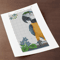 Ara-Macaw-Parrot-Macaw-Parrot-Graphics-31094567-4-580x387.jpg