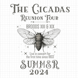 the cicadas reunion tour png, cicadas invasion summer scream 2024 digital download, states of cicada double brood xiii