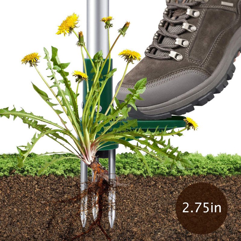 Standing Plant Root Remover Tool 2
