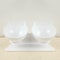 Anti-Vomiting Orthopedic Cat Bowl For Food & Water, Plastic Material