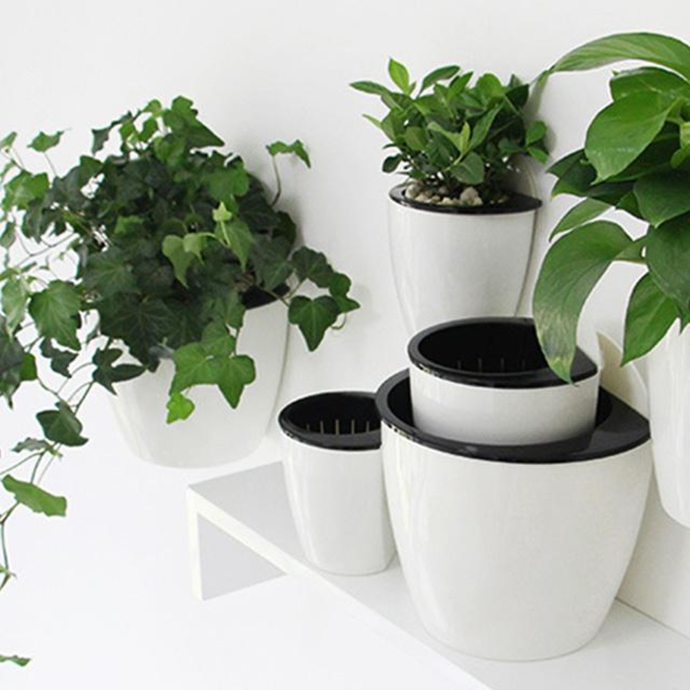 Self Watering Hanging Basket 2