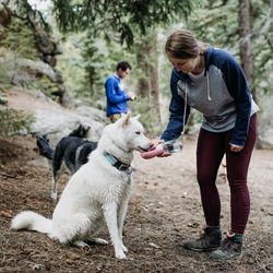bottledoggy portable drinking water bottle
