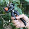Professional Tree Grafting Tool Kit