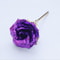 Everlasting Gold Rose Purple