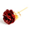 Everlasting Gold Rose Red