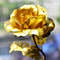 Everlasting Gold Rose