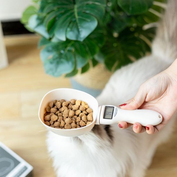 Pet Food Measuring Scoop