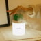 Cactus Humidifier Lamp 3