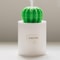 Cactus Humidifier Lamp 5