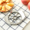 Stainless Steel Apple Cutter Slicer 1