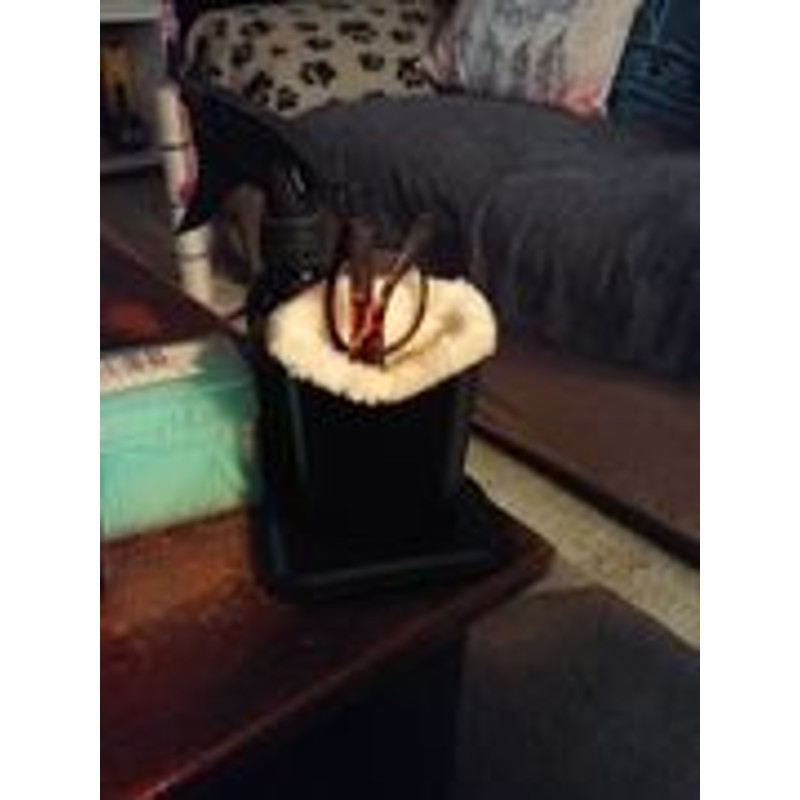 Luxury Faux Fur Eyeglass Holder 2