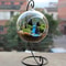 Teardrop Glass Terrarium 3
