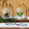 Teardrop Glass Terrarium