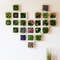 Succulent Wall Hanger Frame