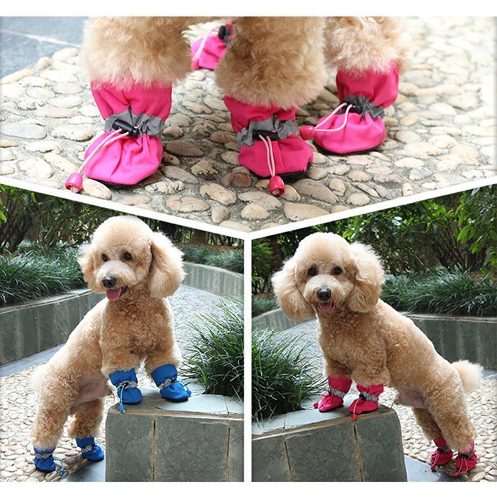 Adorable Dog Booties