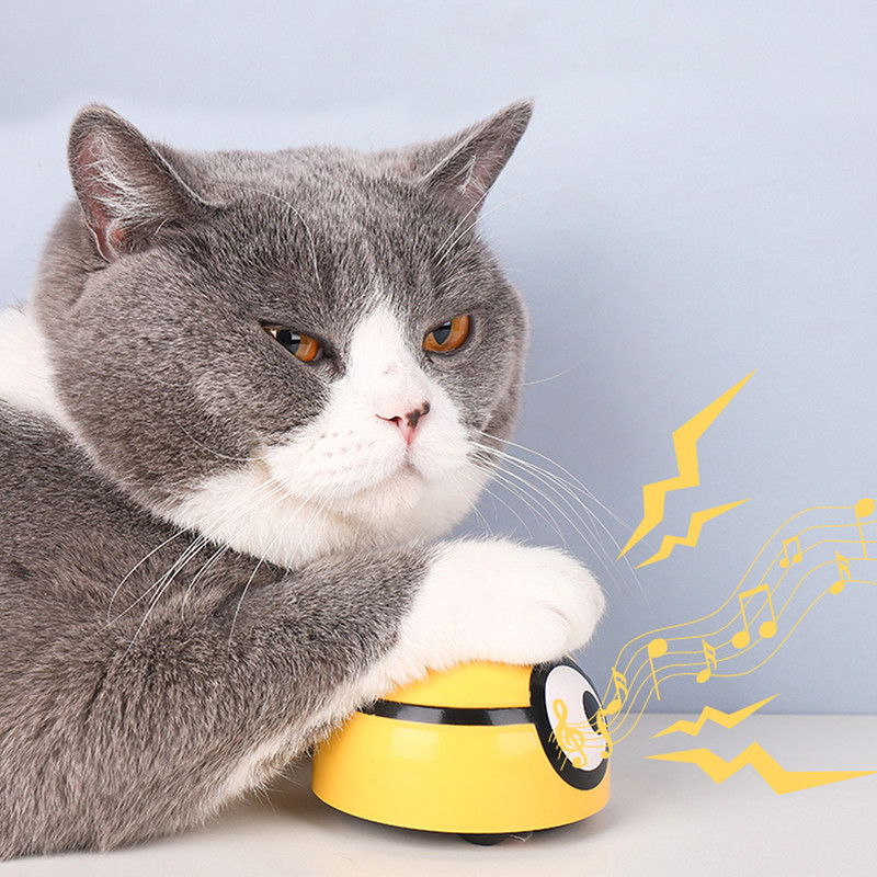 Motion Sensing Moving Toy for Early Learning