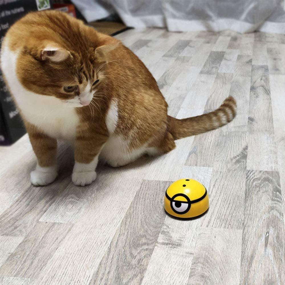 Educational Baby Toy for Cognitive Development