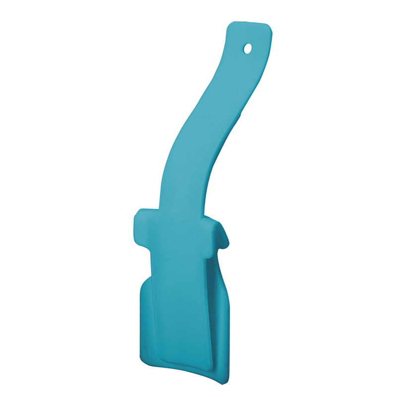 Easy shoe puton tool
