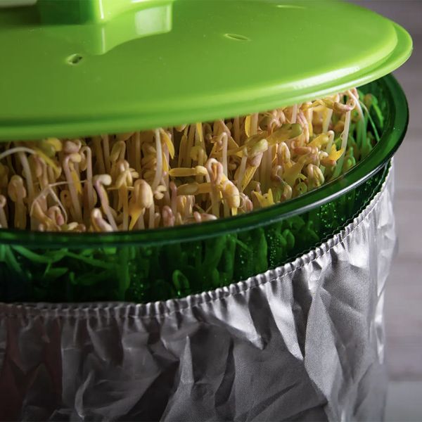 Multi-Layered Automatic Bean Sprout Machine