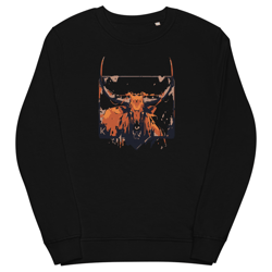 Longhorn sweatshirt