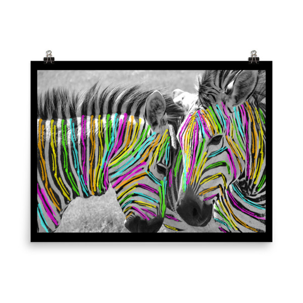Zebra Color Poster