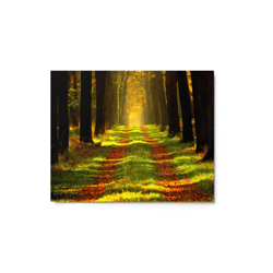 Forest Path Metal Print