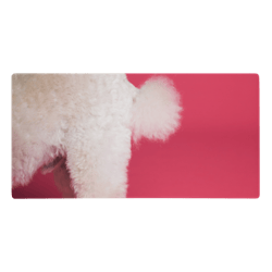 POOCH mouse pad