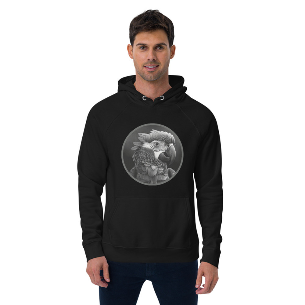 Unisex eco raglan hoodie