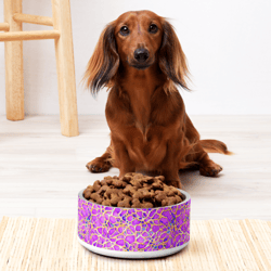 pink yellow blue modern mozaic seamless pattern pet bowl