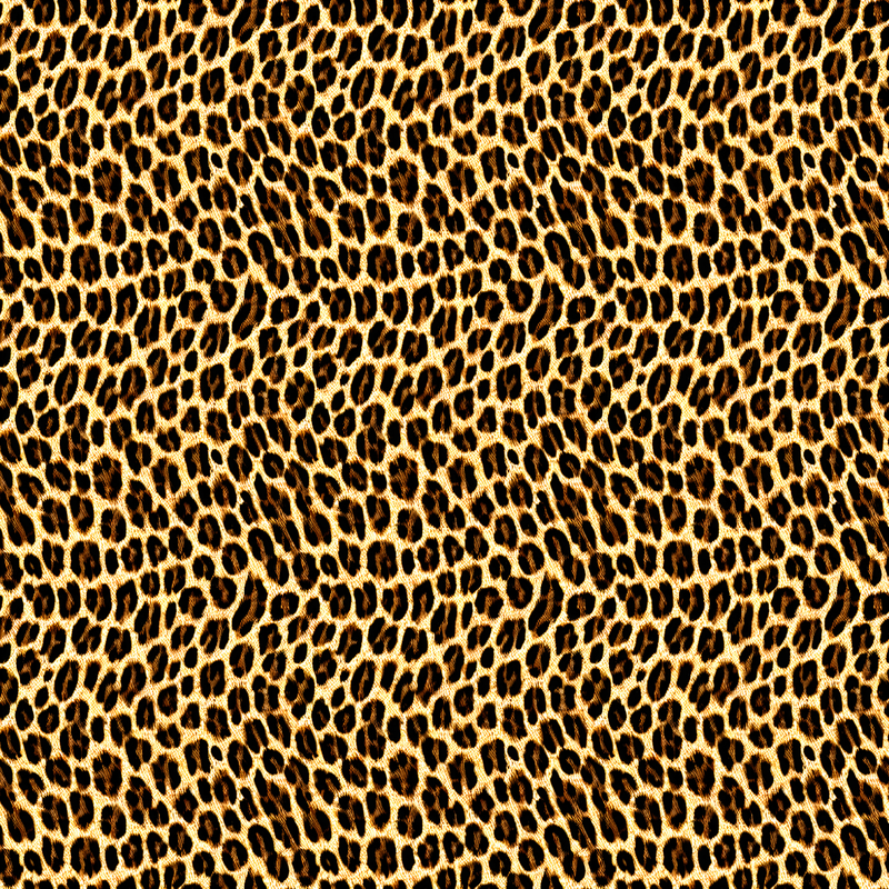 Leopard Skin Animal Print Seamless Pattern Recycled padded bikini top