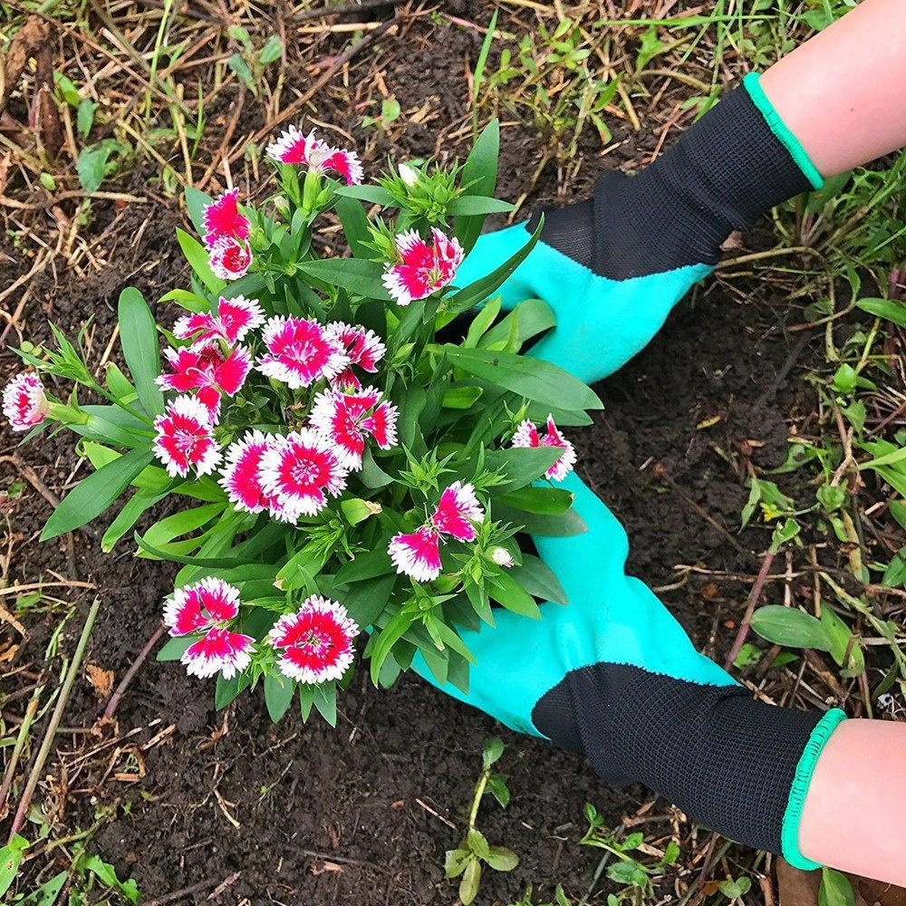 Claws Garden Gloves 1
